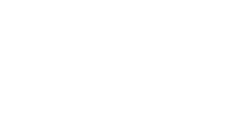 Force Consulting, Inc.